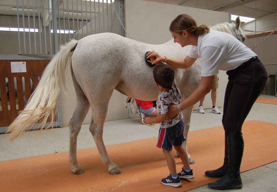Scuola equitazione bambini Emilia Romagna
