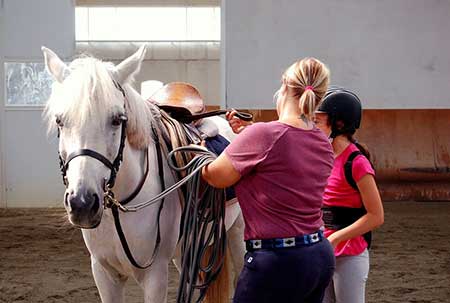 ippoterapia e riabilitazione equestre