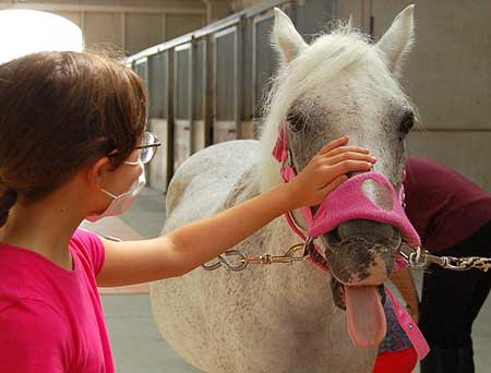 riabilitazione equestre e ippoterapia