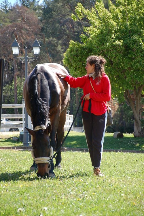 decontrazione muscolare cavallo